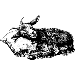 Goat Sleeping on Pillow