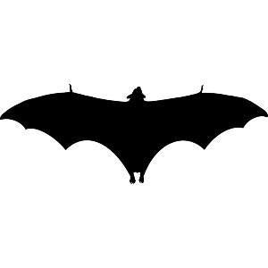 Bat Silhouette