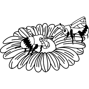 Daisy & Bees