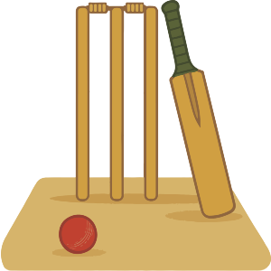 Cricket Pitch Essentials