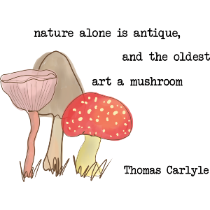 Nature Alone Is Antique