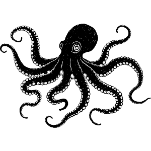 Happy Octopus 
