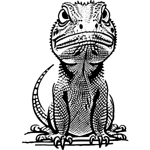 Angry Lizard