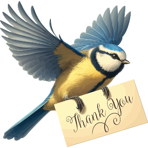 Blue Tit Thank You