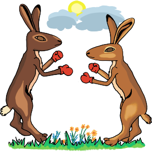 March Hares Boxing