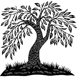 Simple Tree with Grass