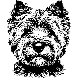 West Highland Terrier