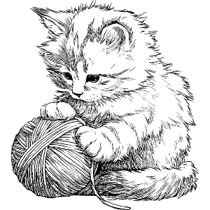 Cute Fluffy Kitten with Ball of Yarn