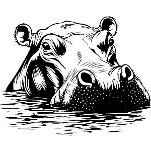 Hippopotamus in Water