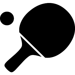 Ping Pong Paddle With Ball