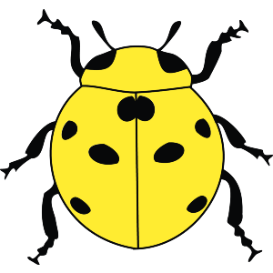 Yellow Ladybug