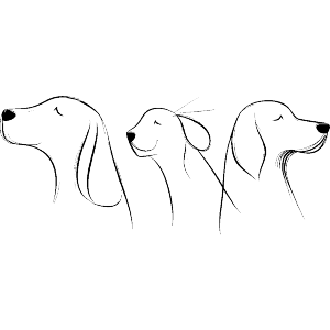 Three Dogs Sketch