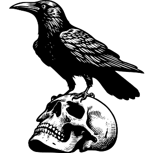 Raven On Skull