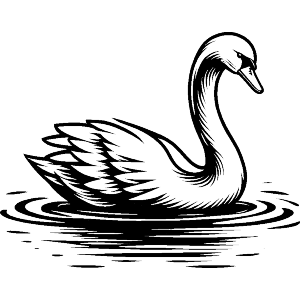 Graceful Swan