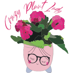 Crazy Plant Lady Plant Pot 