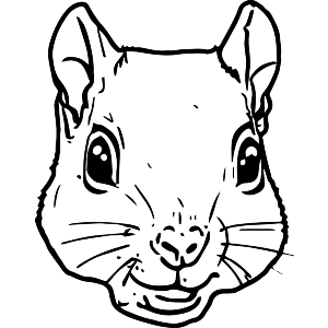 Squirrel Face