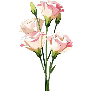 Lisianthus Flower