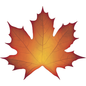 Autumn Maple Leaf
