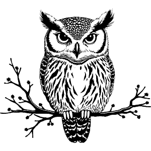 Owl Sitting on Branch