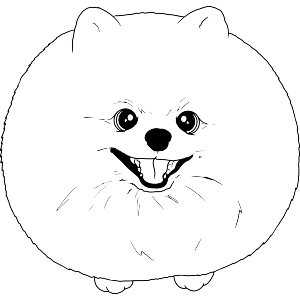 Happy Round Pomeranian Dog