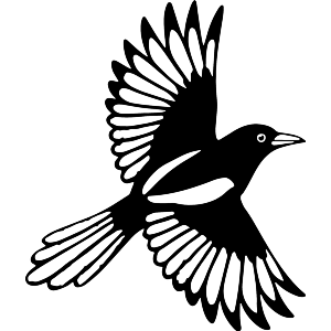 Flying Magpie