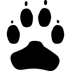 Paw Print