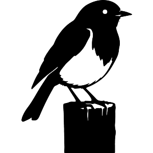 Robin Bird on a Wooden Fence Post