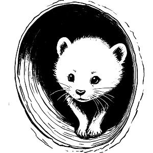 Ferret In A Tunnel