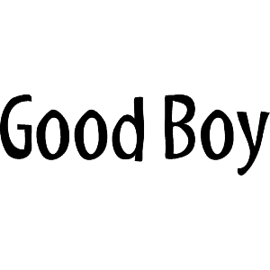 Good Boy