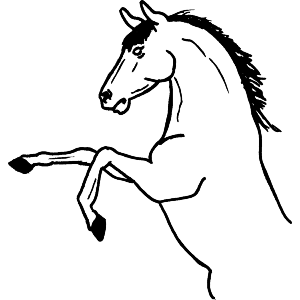 Rearing Horse