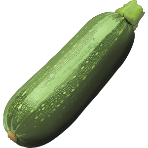 Fresh Courgette