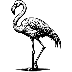 Flamingo Standing