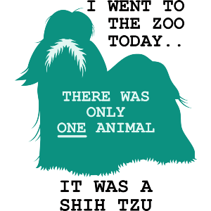 Funny Shih Tzu Joke