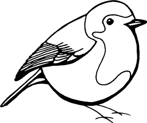 Robin