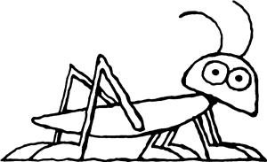 Grasshopper