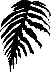 Palm Leaf
