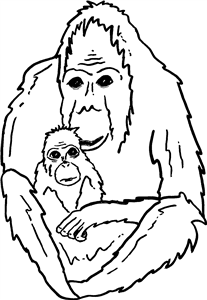 Orangutan With Baby