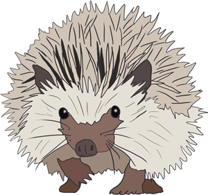Spike the hedgehog 