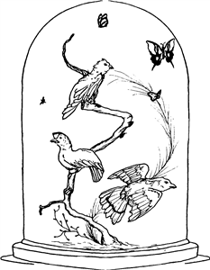 Taxidermy Bell Jar