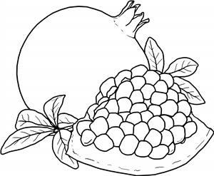 Pomegranate