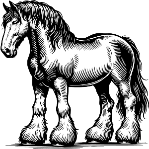 Clydesdale Horse