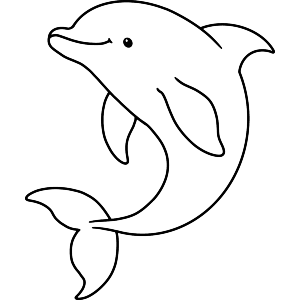 Friendly Dolphin