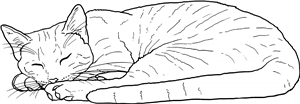 Sleeping Cat