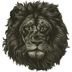 Black Lion