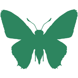Jade Butterfly