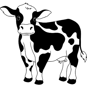 Cute Dairy Cow