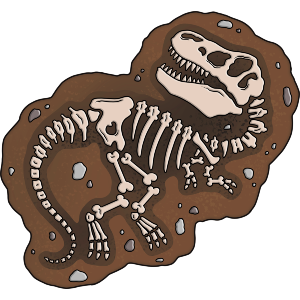 T-Rex Fossil