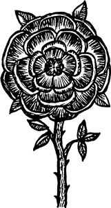 Tudor Rose