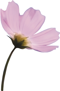 Purple Flower
