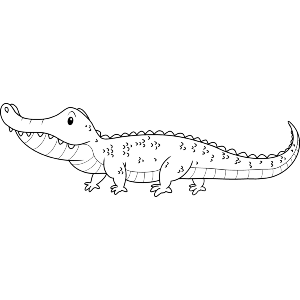 Long Crocodile
